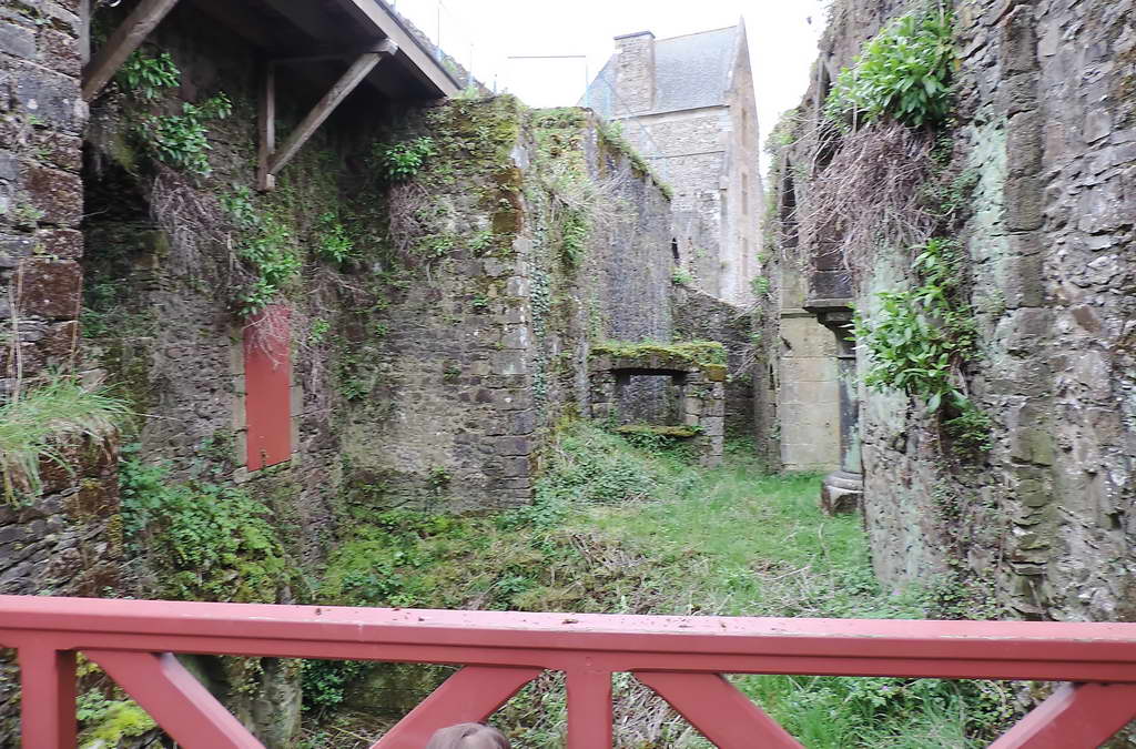 FOUGERE-1
